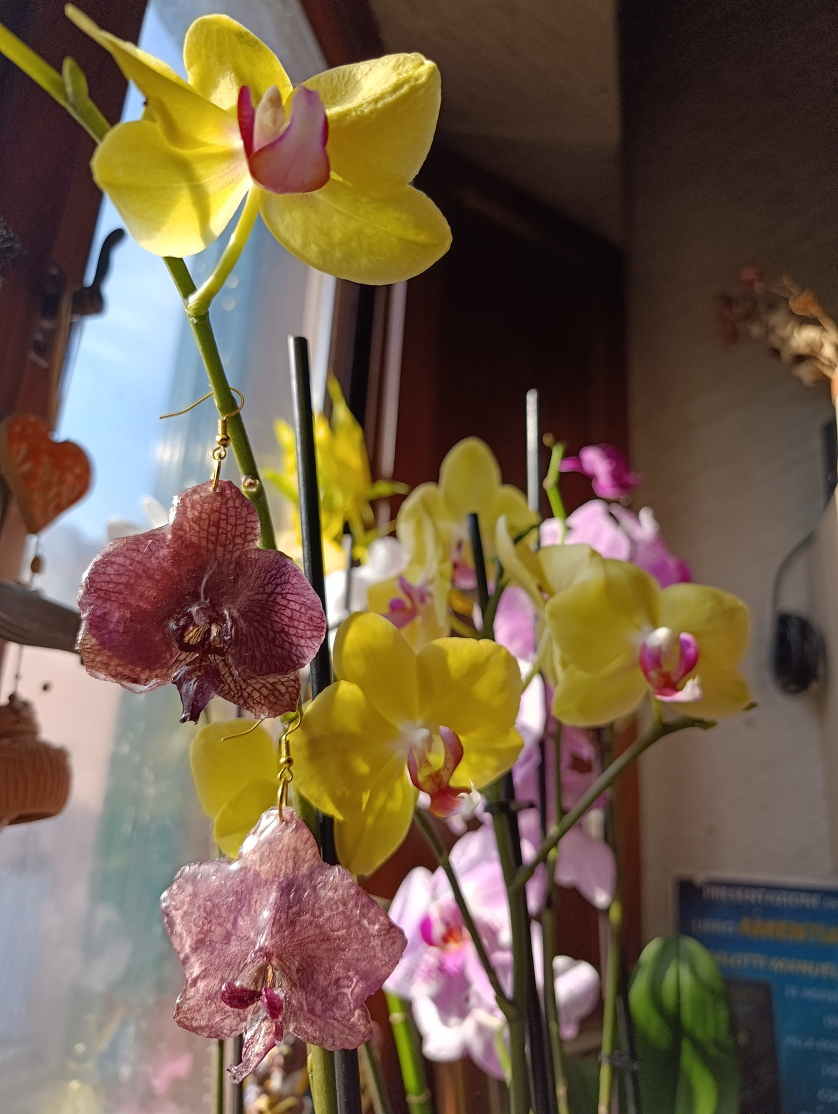 Orecchini Orchidea bronzo | fiori veri e brillanti