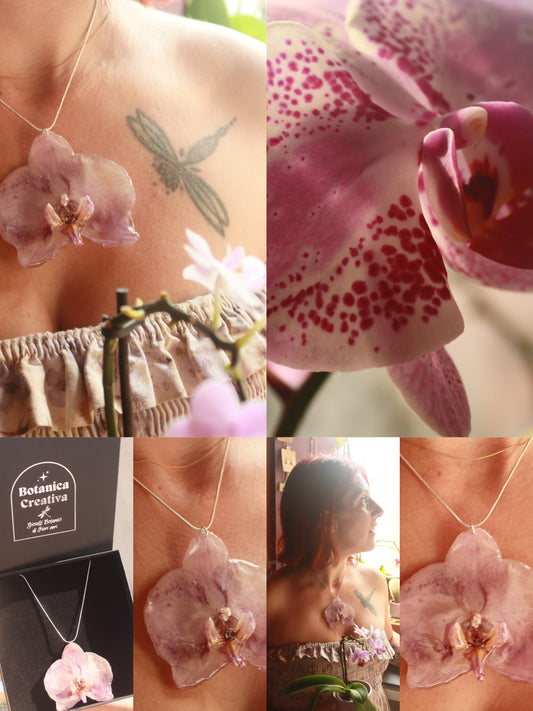 Collana Phaleonopsis grande filo di argento 925/ orchidee di Lucca