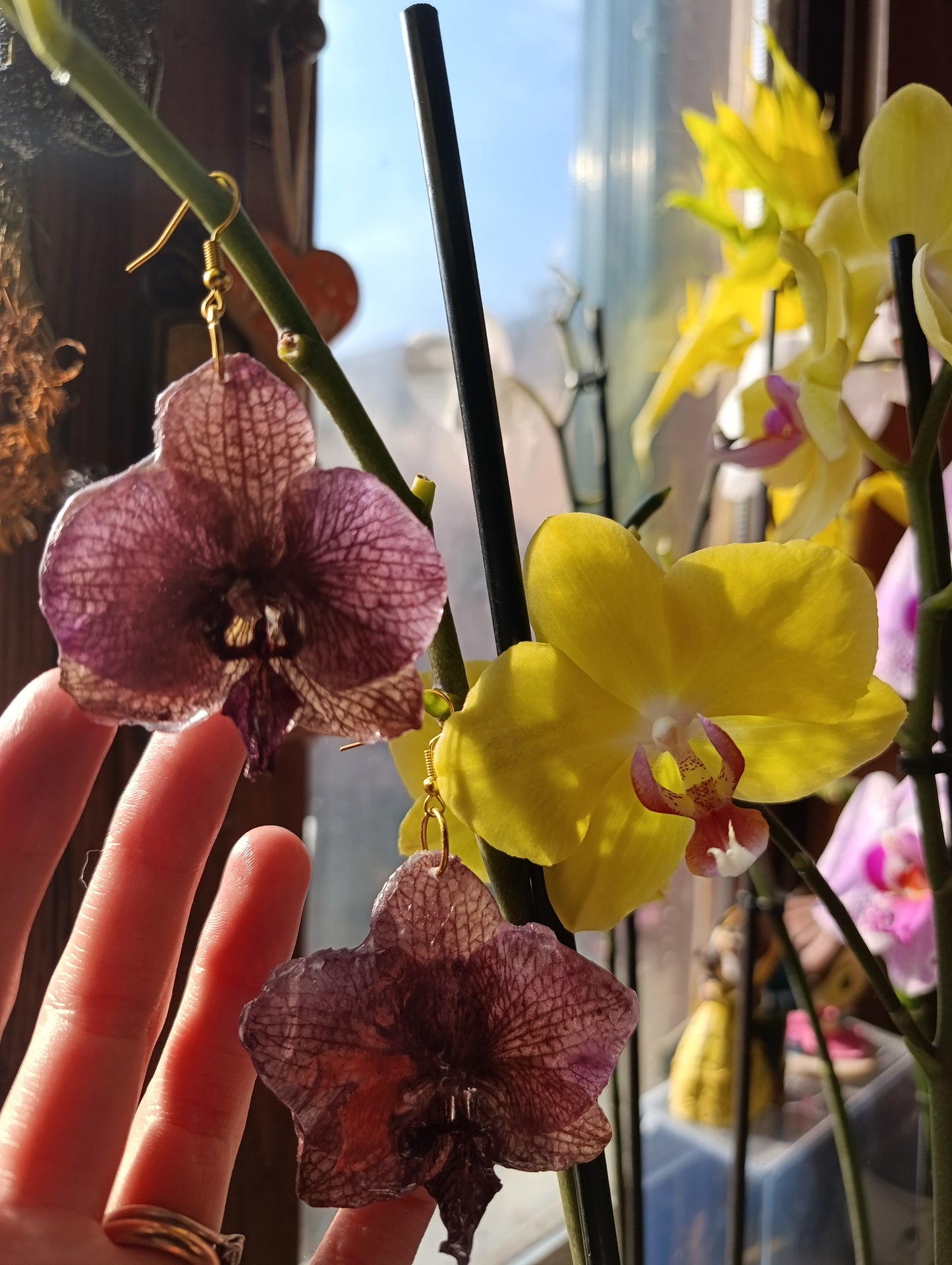 Orecchini Orchidea bronzo | fiori veri e brillanti