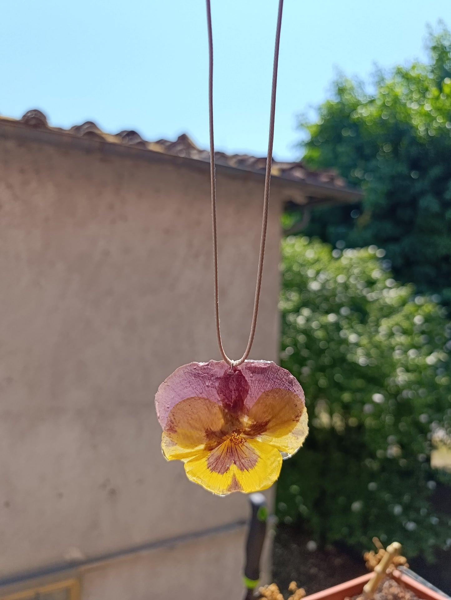 Collana panse' gialla e viola|fiori veri