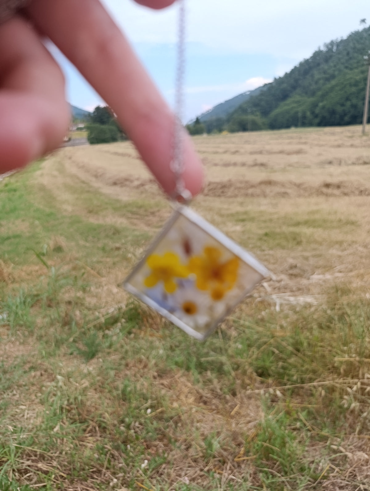 Giugno per sempre - collana Fiori veri