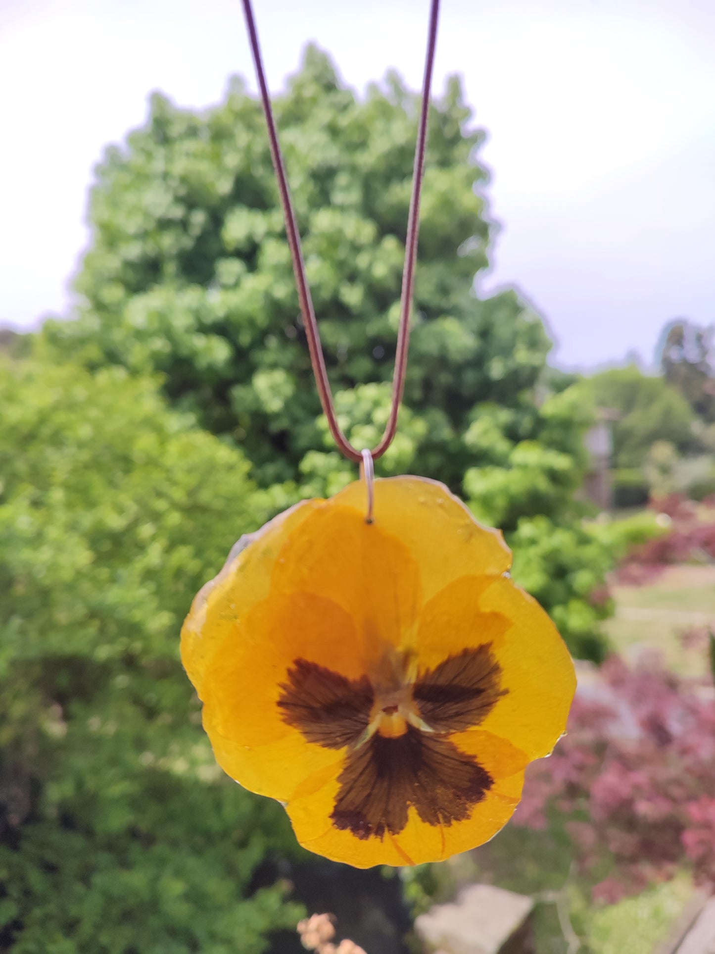 Collana Panse' fiore vero - resina trasparente