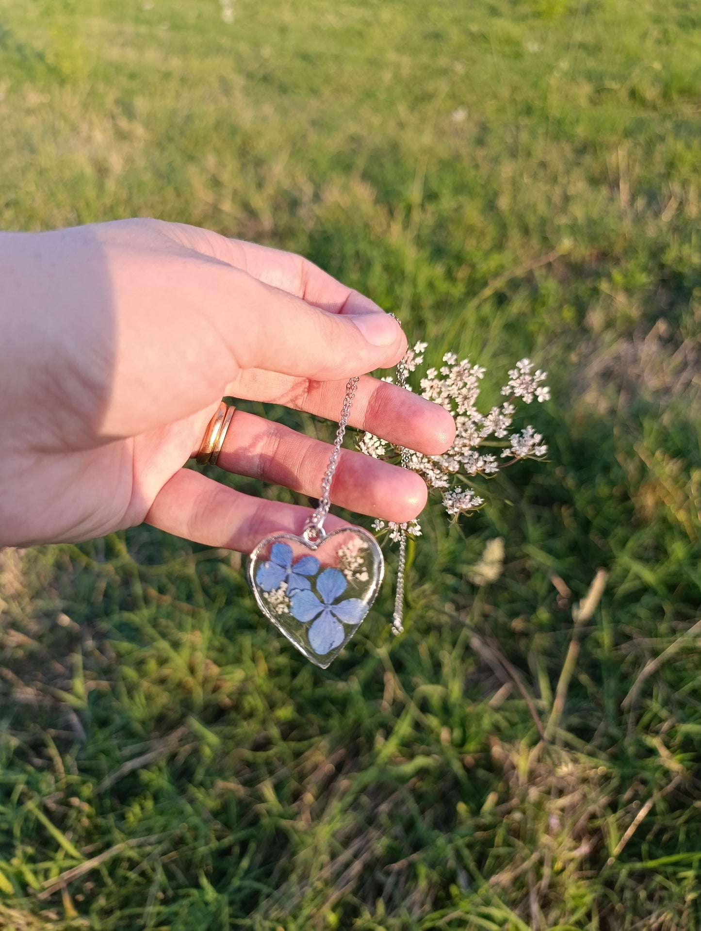 Cuore di Luglio|Fiori veri di Lucca