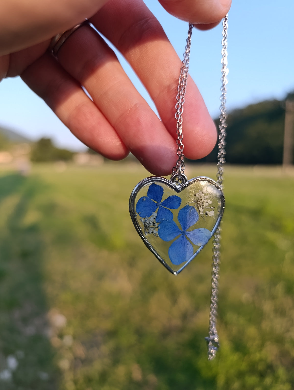Cuore di Luglio|Fiori veri di Lucca