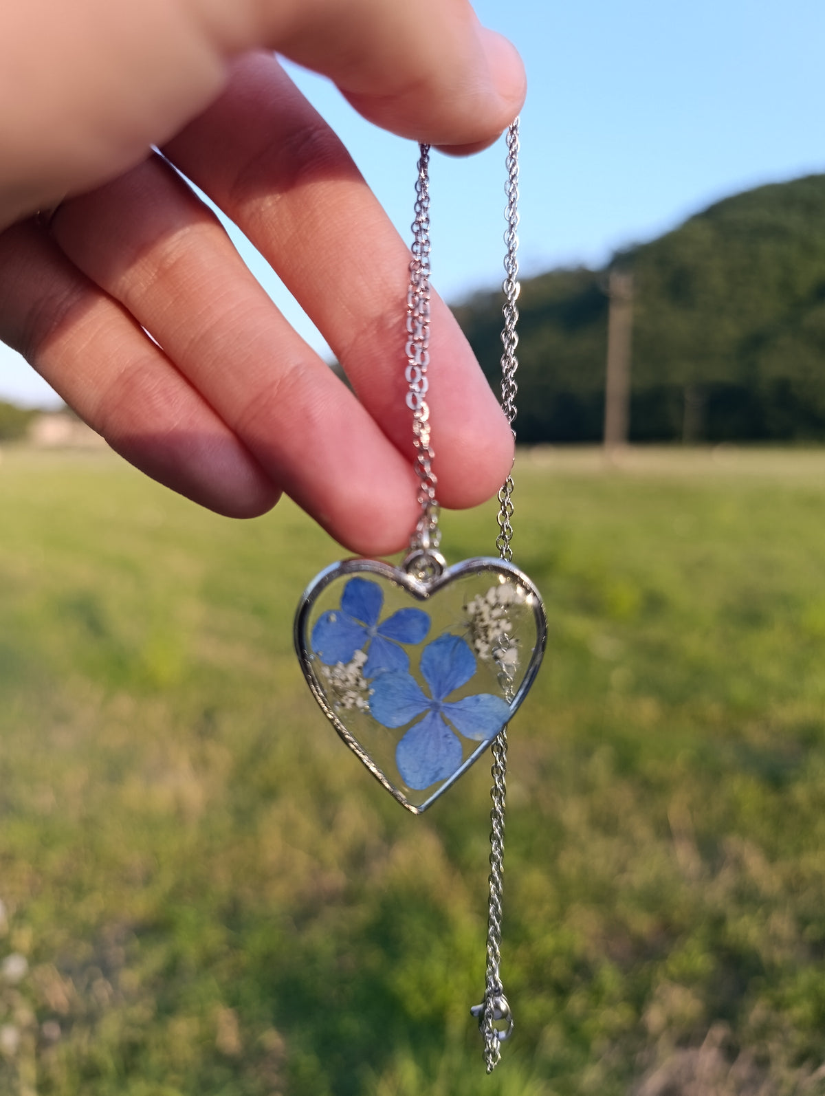 Cuore di Luglio|Fiori veri di Lucca