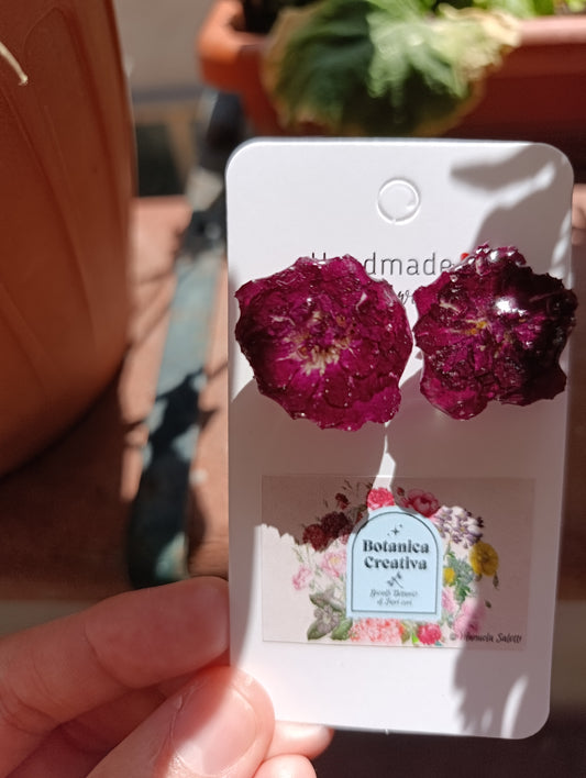 Orecchini lobo Rose di Maggio| pezzo unico|Fiori Veri