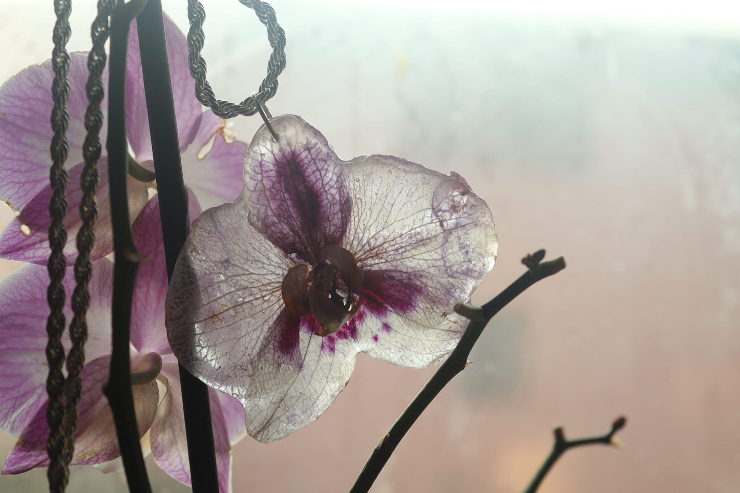 Collana Phaleonopsis grande Argento 925| fiori veri