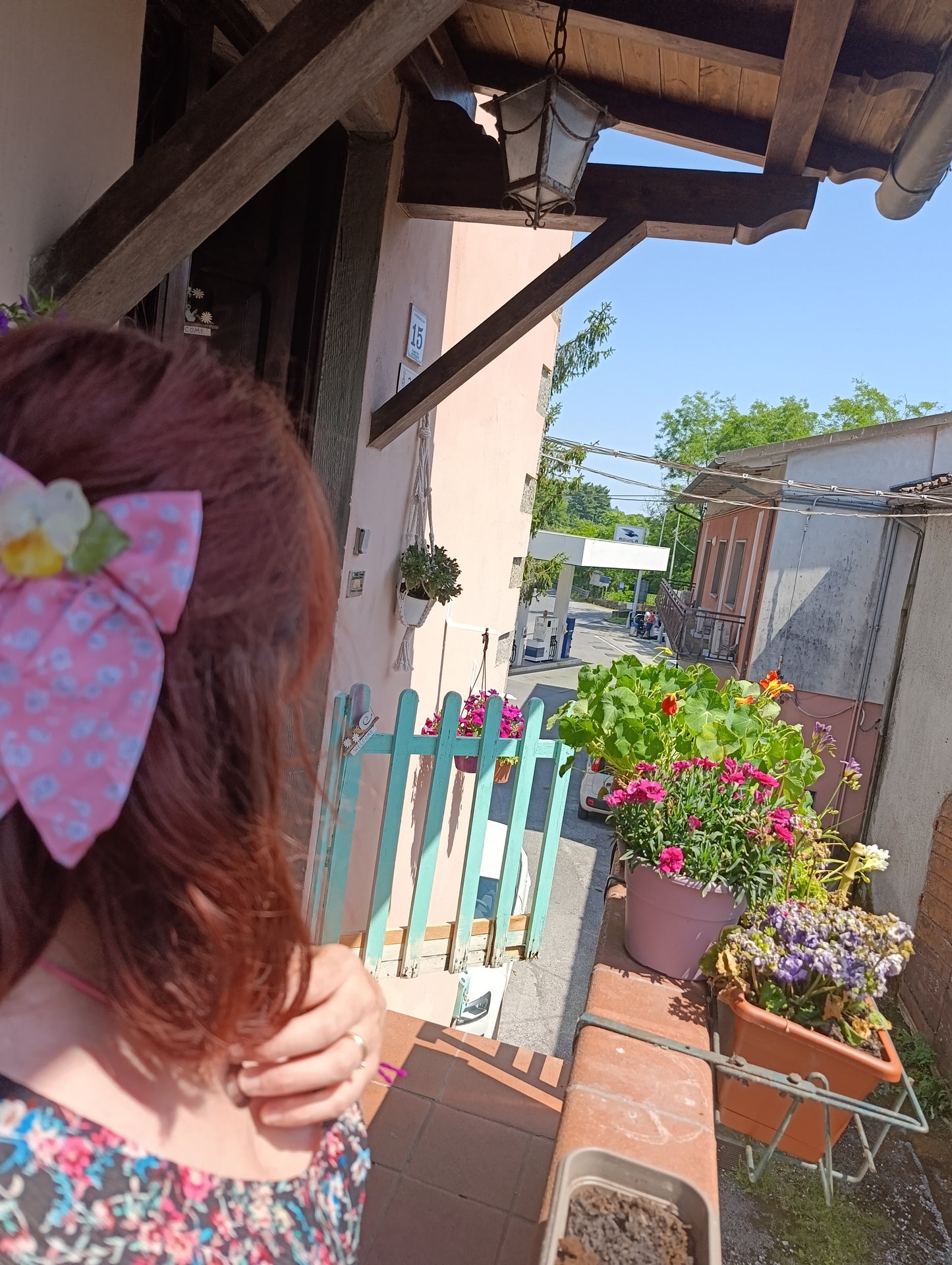 Fiocco clip Viola del pensiero Gialla ed Edera | fiori veri| pezzo unico