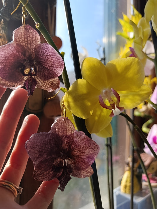 Orecchini Orchidea bronzo | fiori veri e brillanti
