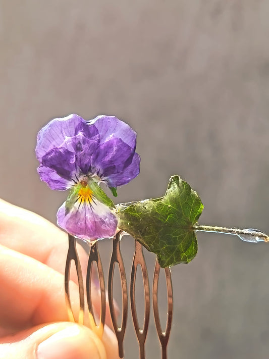 Pettinino Viola del pensiero ed edera|fiori Veri | pezzo unico