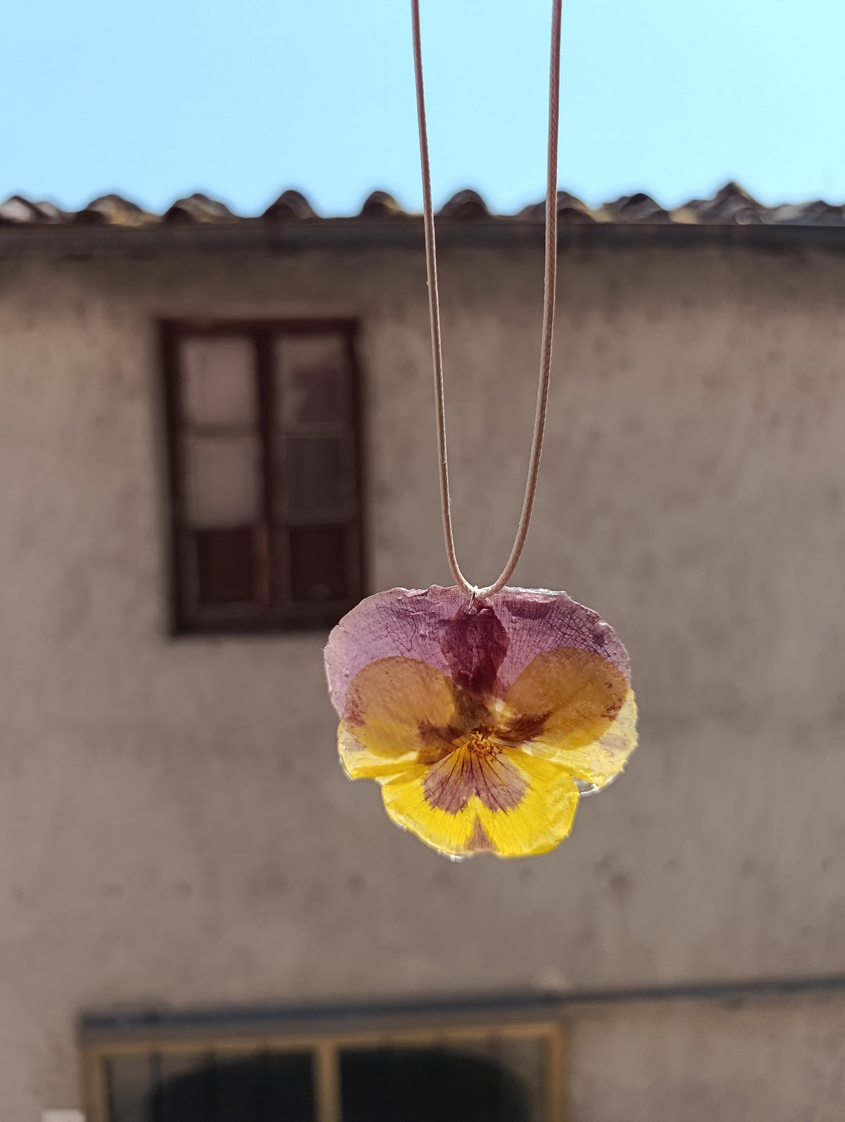 Collana panse' gialla e viola|fiori veri