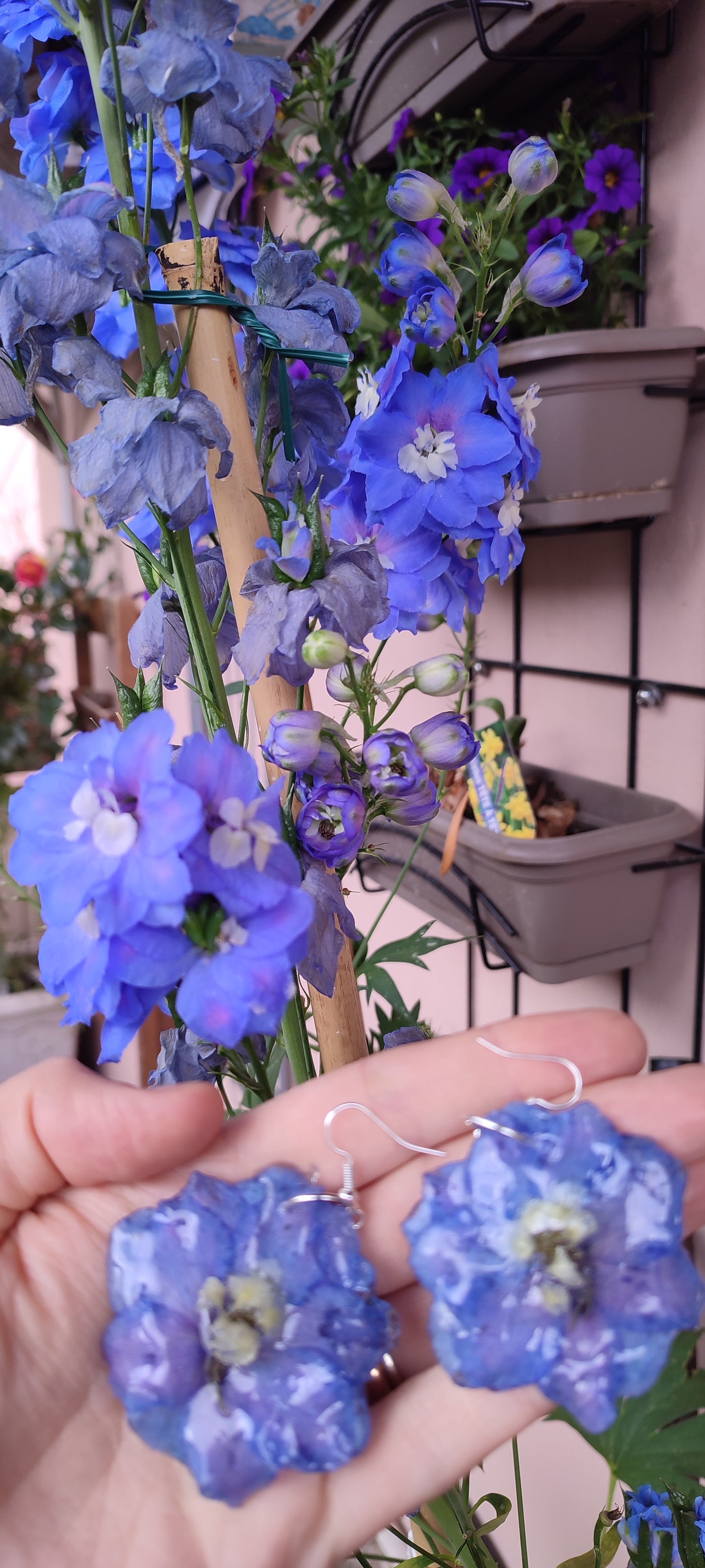 Orecchini Delphinium Blu – Fiori Veri in Resina
