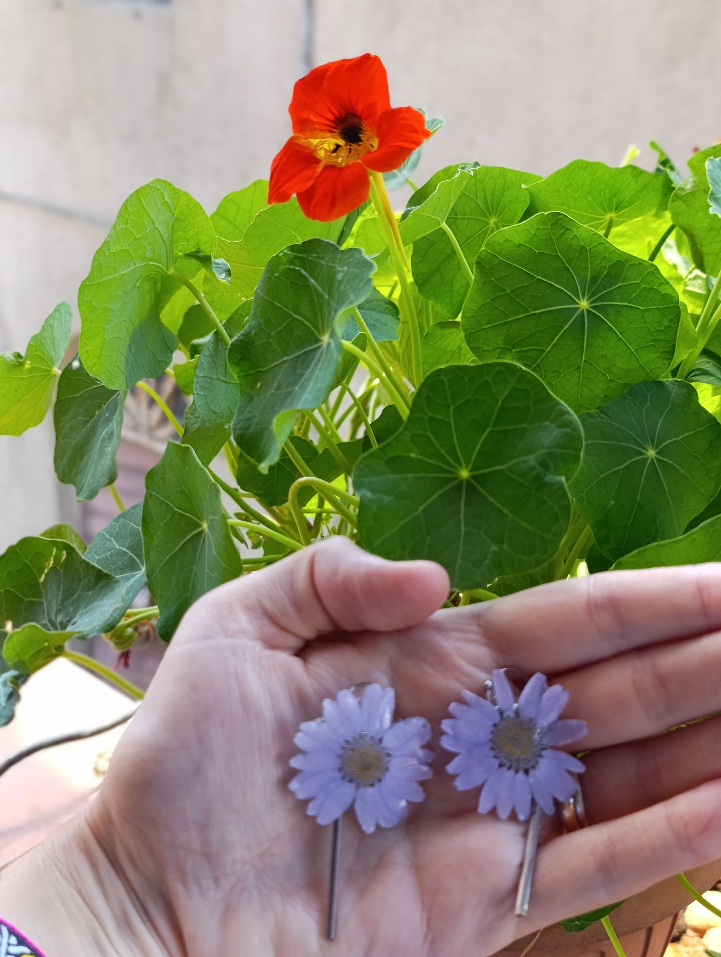 Orecchini Margherite di Campo- fiori veri e resina