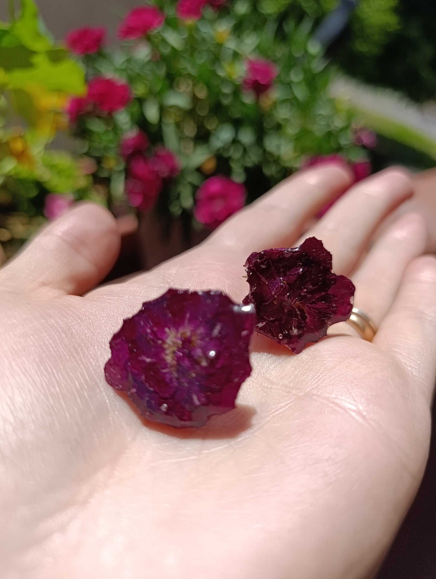 Orecchini lobo Rose di Maggio| pezzo unico|Fiori Veri