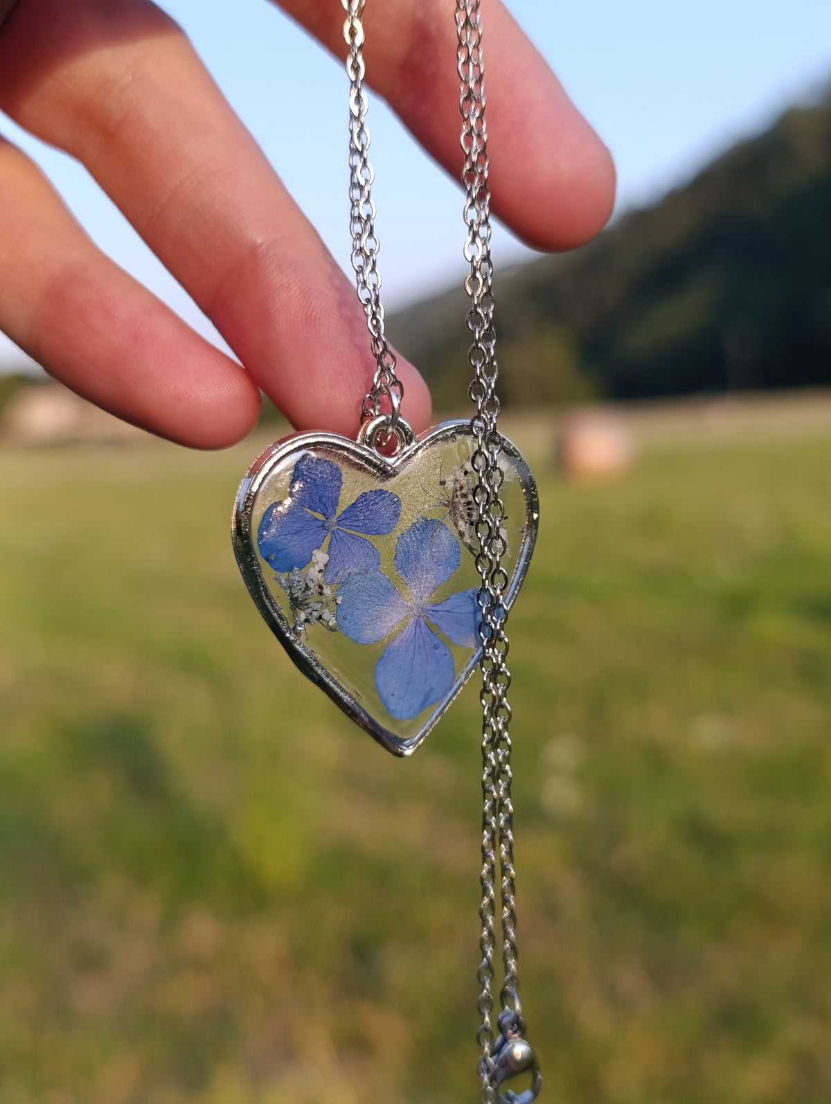 Cuore di Luglio|Fiori veri di Lucca
