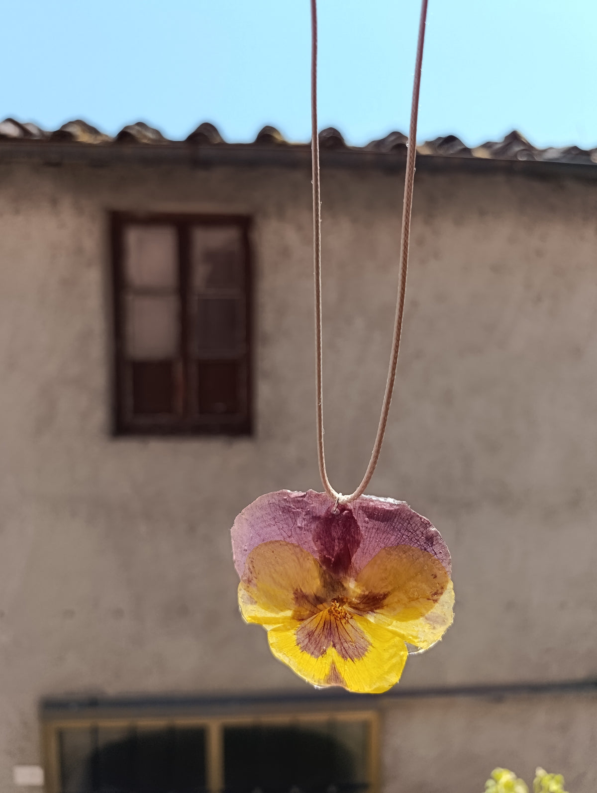 Collana panse' gialla e viola|fiori veri