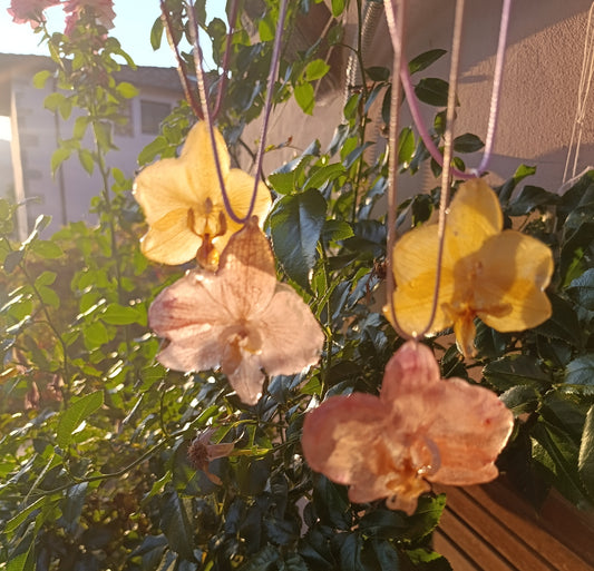 Collana Orchidea con cordina colorata|fiori veri di Lucca
