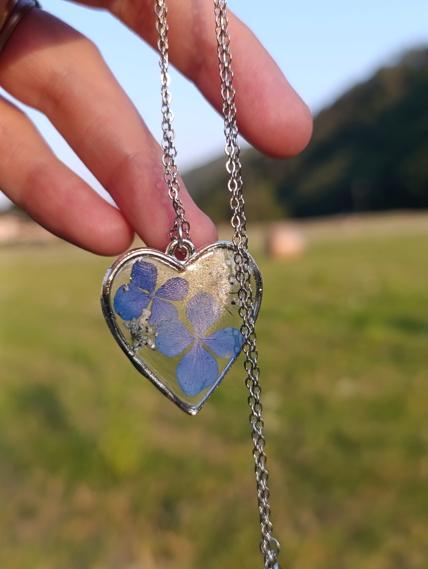 Cuore di Luglio|Fiori veri di Lucca