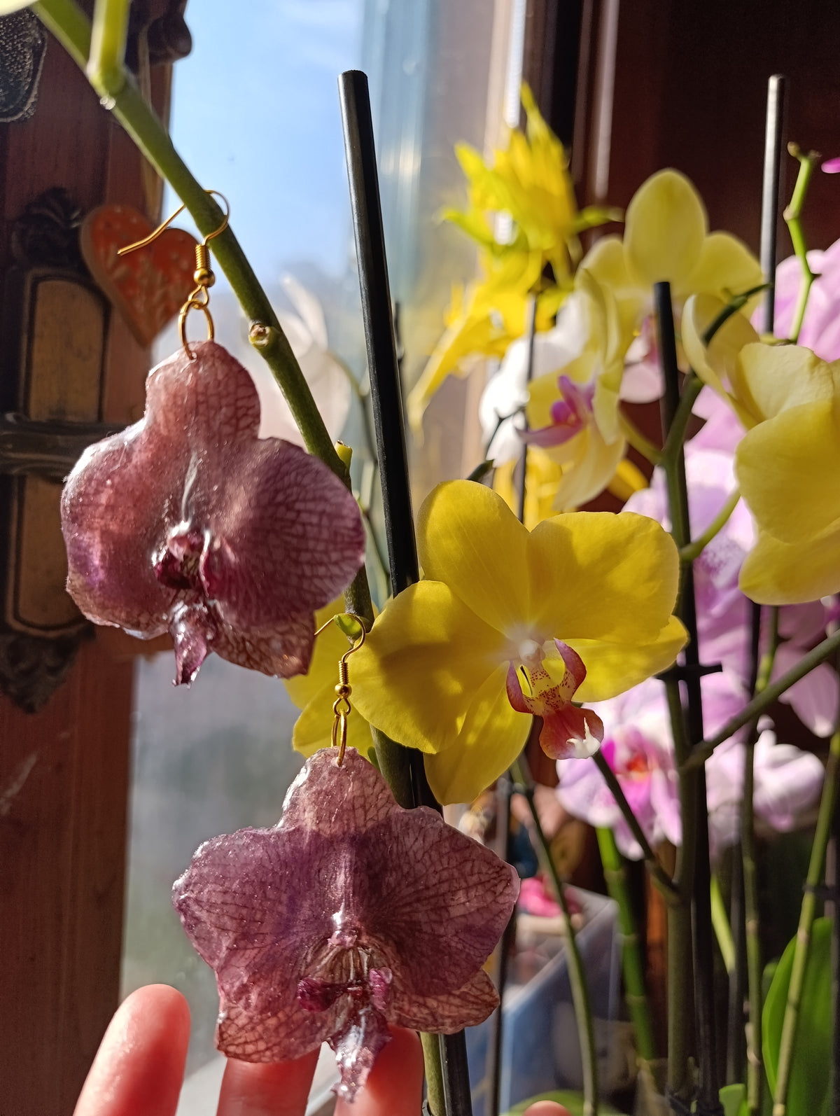 Orecchini Orchidea bronzo | fiori veri e brillanti
