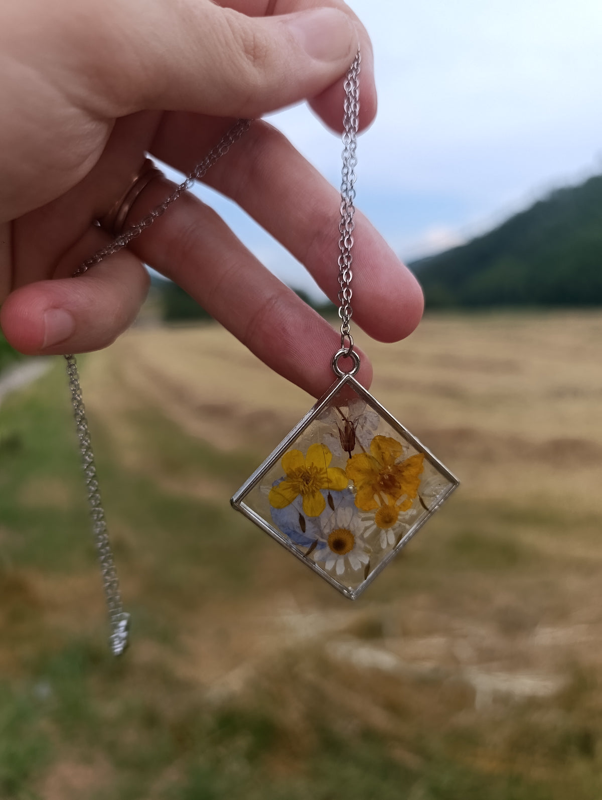 Giugno per sempre - collana Fiori veri