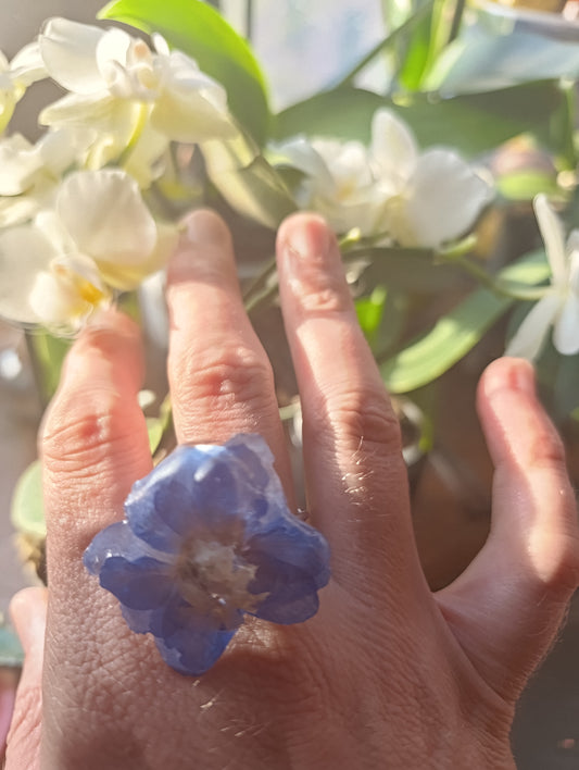 Anello Delphinium blu| fiori veri di Lucca