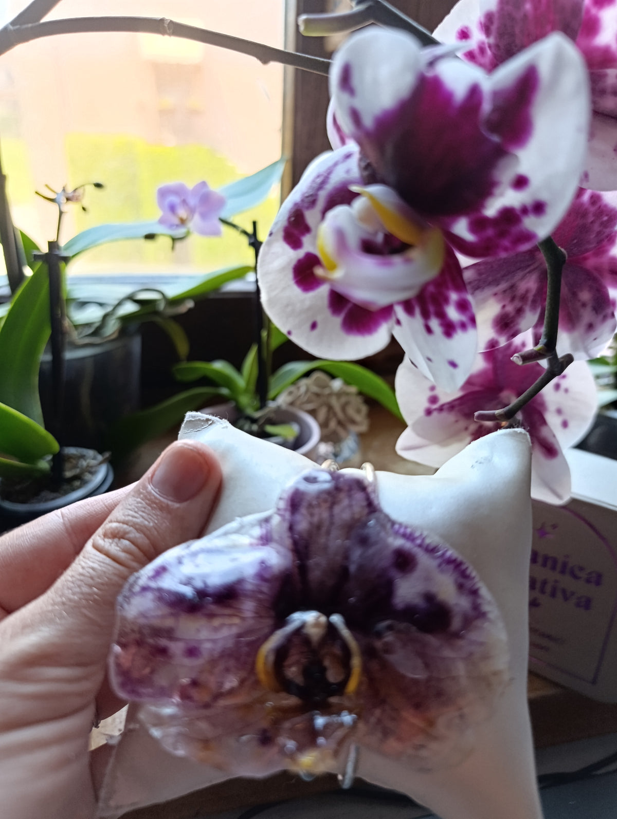 Bracciale con Orchidea — pezzo unico| fatto a Lucca|