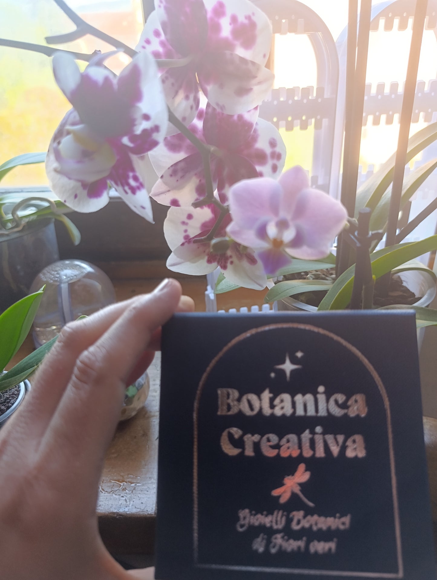 Braccialetto Orchidea Mini Phalaenopsis – Acciaio Ipoallergenico
