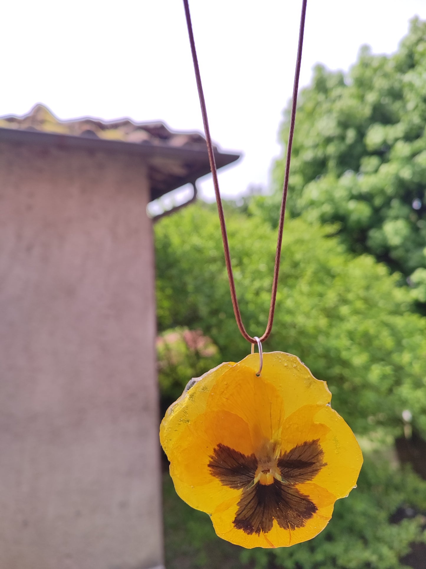 Collana Panse' fiore vero - resina trasparente