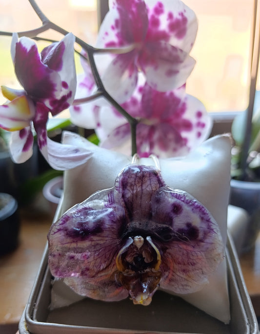 Bracciale con Orchidea — pezzo unico| fatto a Lucca|