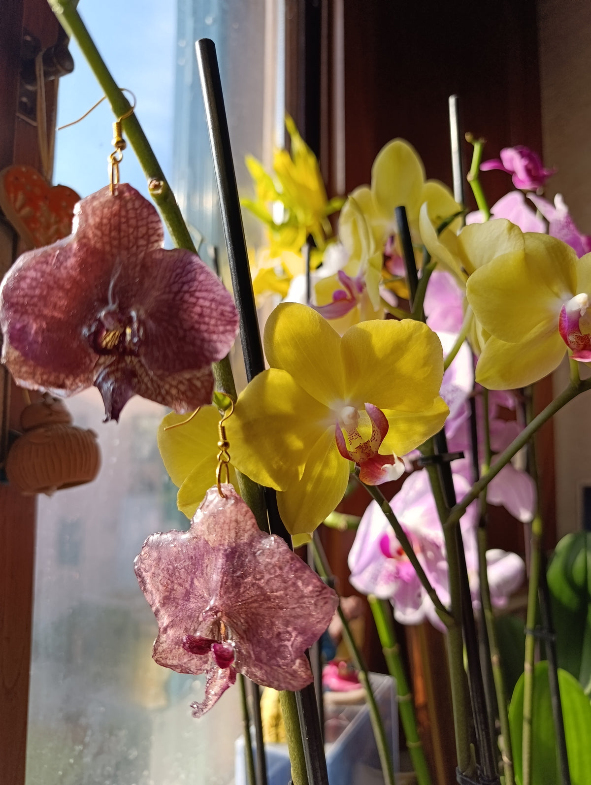 Orecchini Orchidea bronzo | fiori veri e brillanti