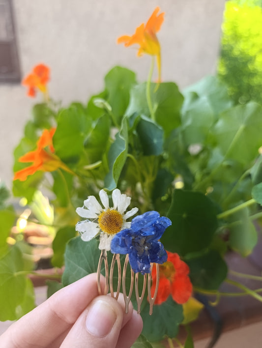 Pettinino Delphinium e Margherita|fiori veri| pezzo unico